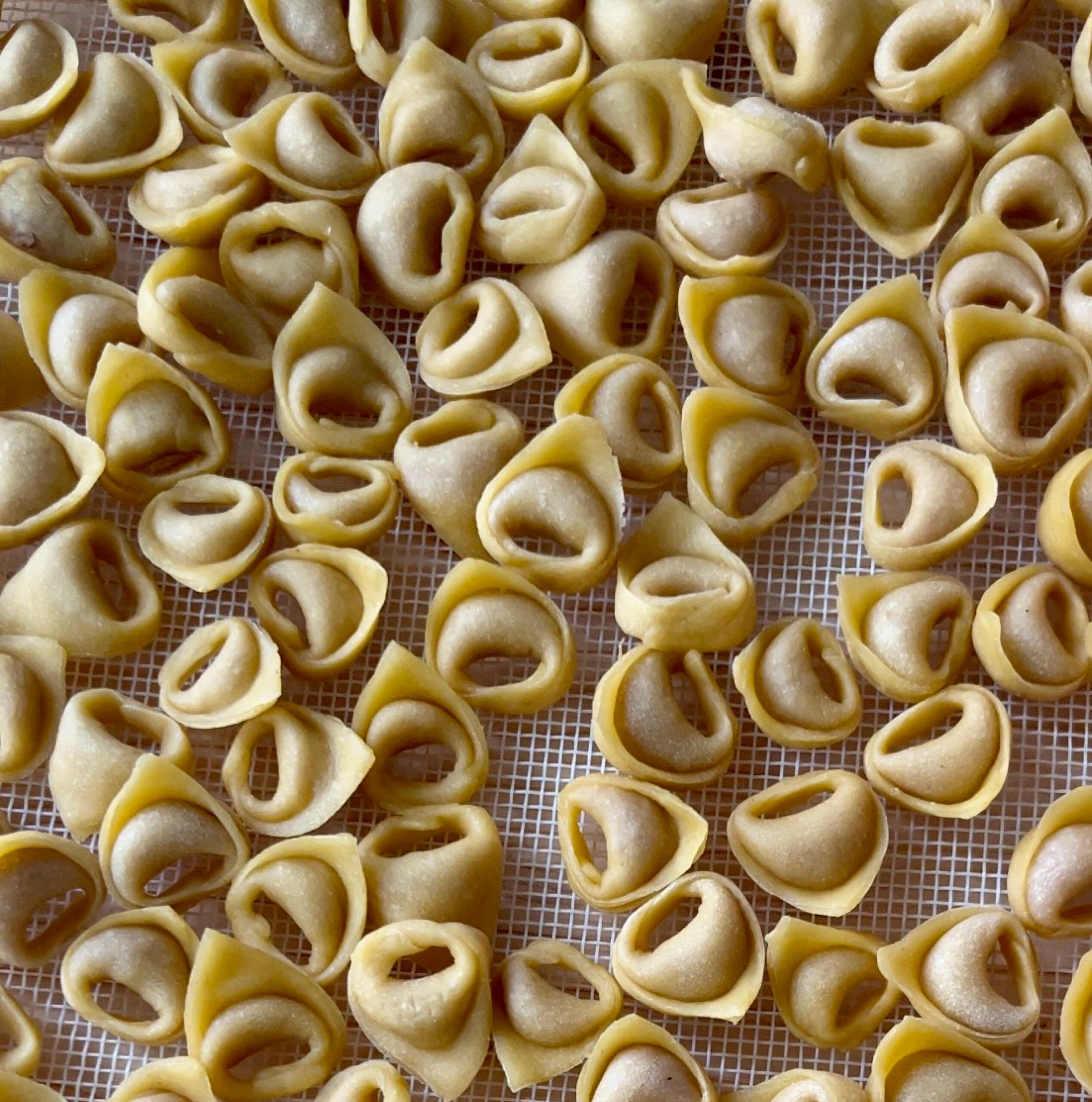 Il Tortellino Bolognese: un classico del Natale con Elena Spisni
