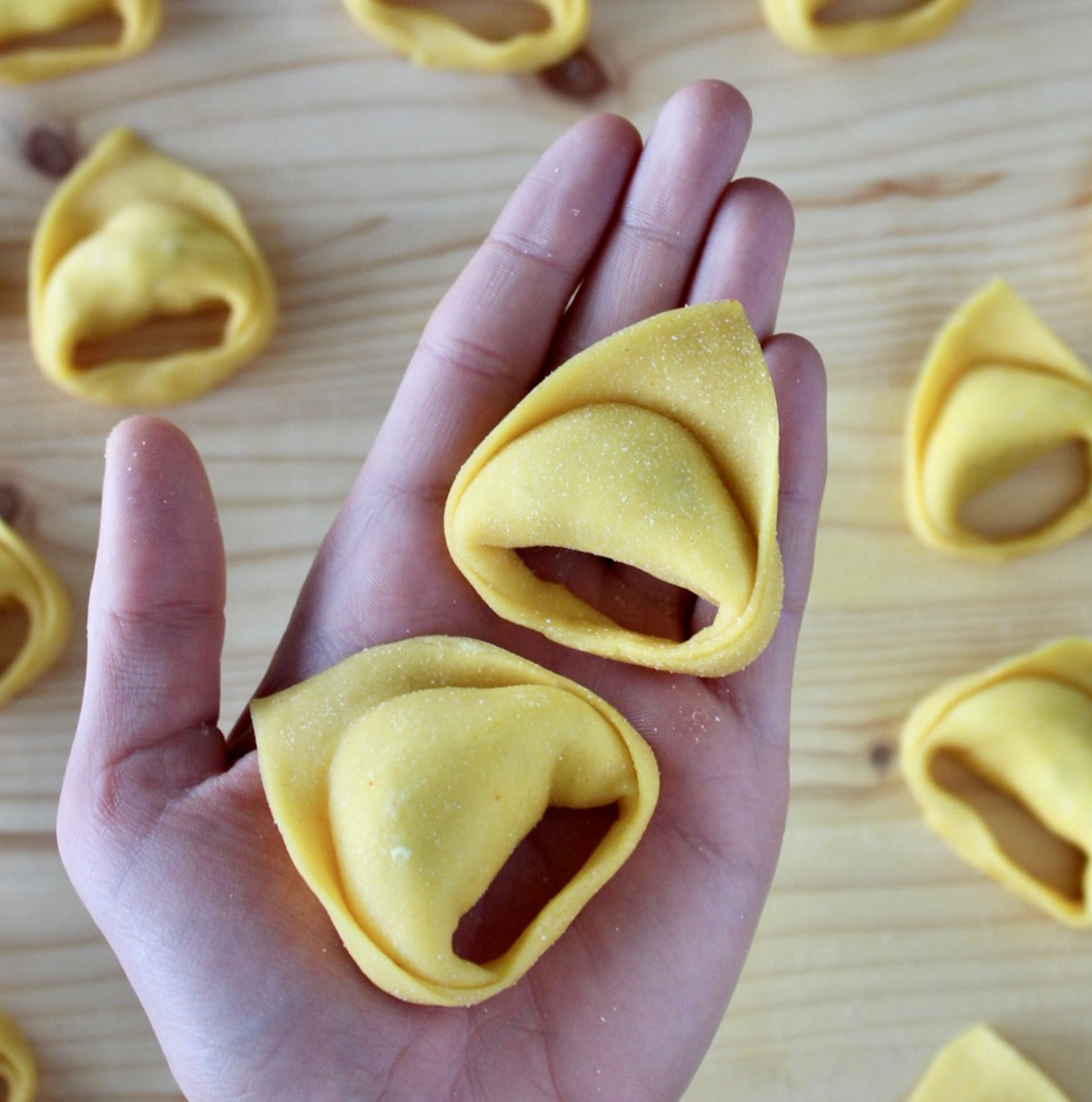 La Pasta Ripiena: Speciale Pappardella Ripiena e Tortelloni con Elena Spisni - immagine 3