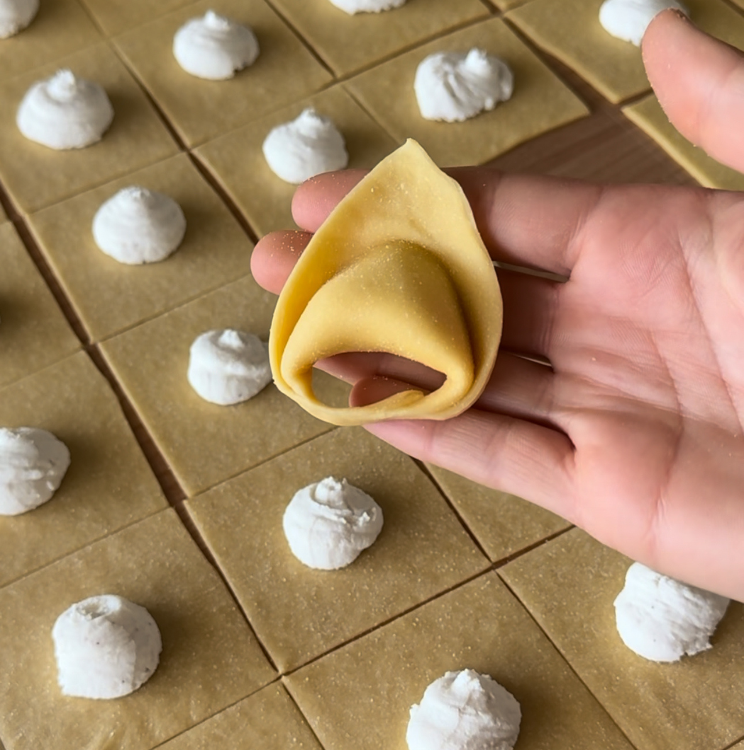 La Pasta Ripiena: Speciale Pappardella Ripiena e Tortelloni con Elena Spisni