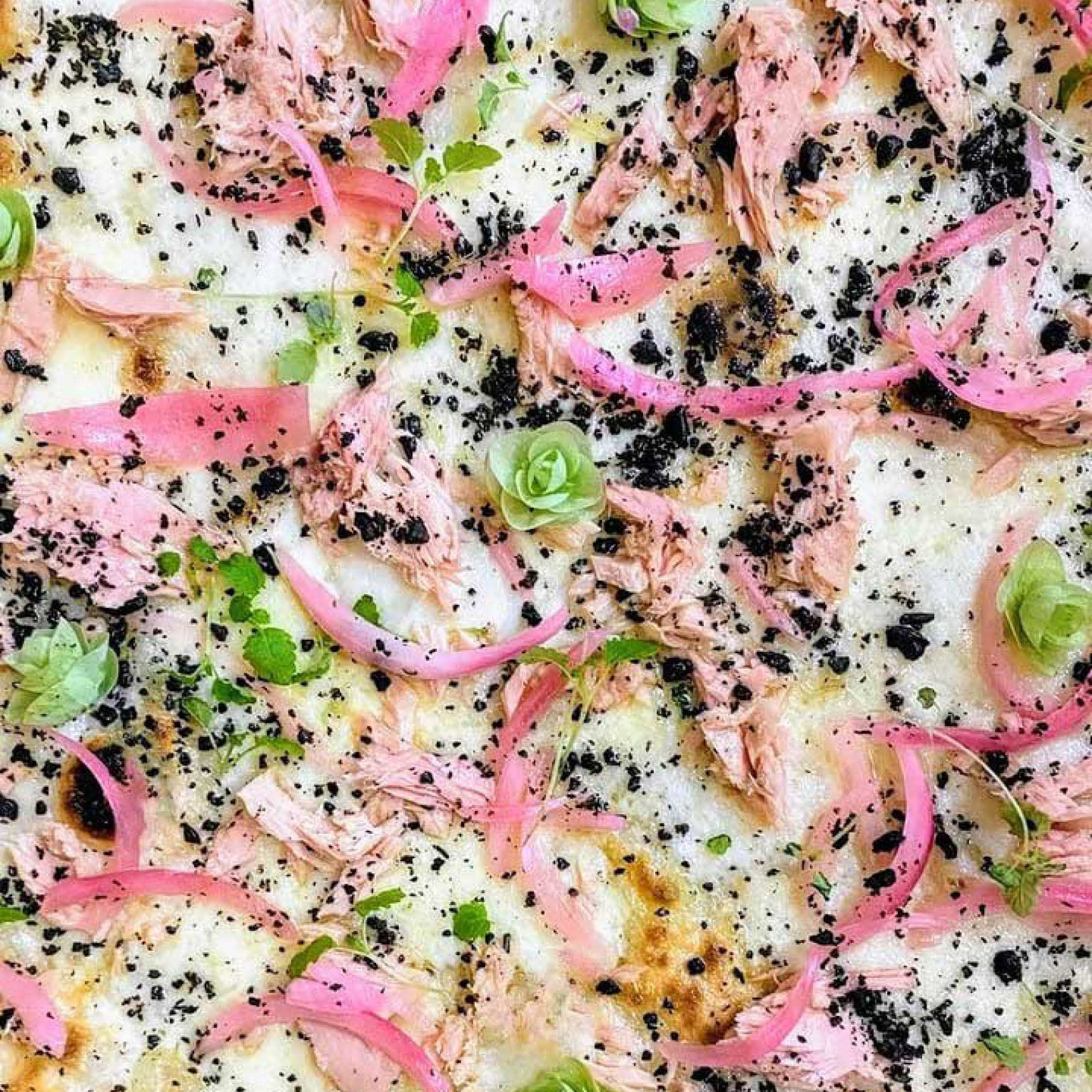 Pizza Botanica con Giulia Zanni - immagine 4